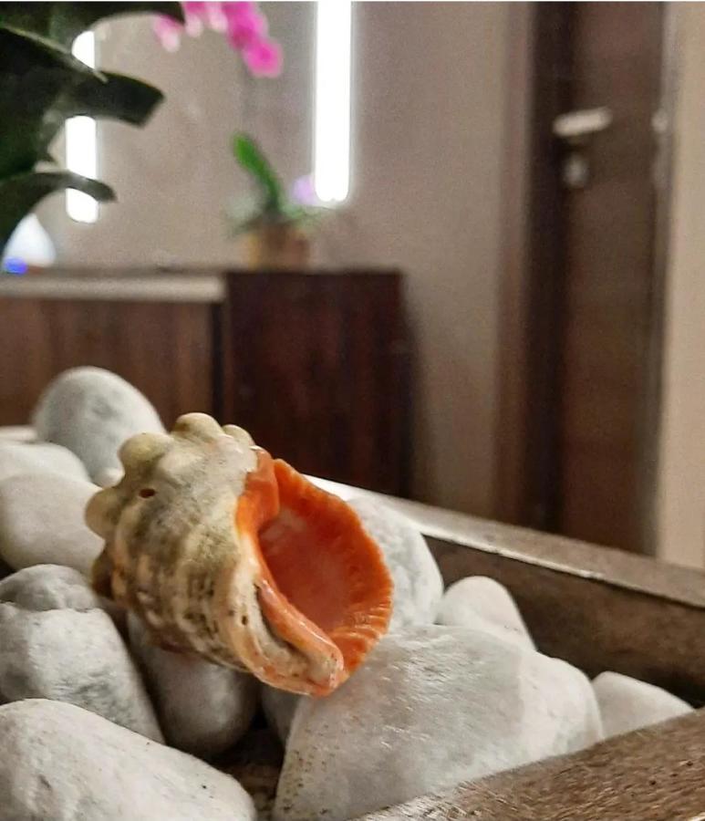 Il Vicolo B&B Giubileo Nettuno Zewnętrze zdjęcie